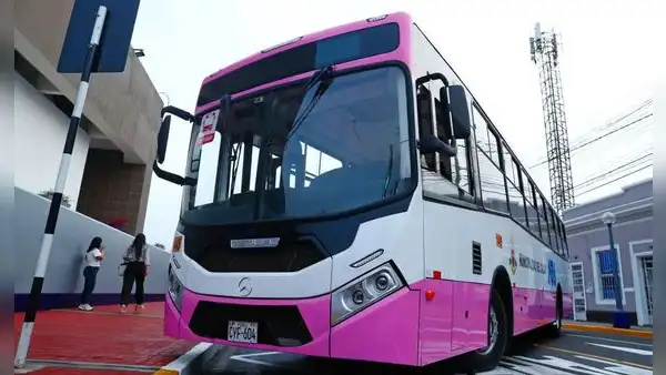 Corredor Rosado unirá Lima y Callao por solo S/1.50: rutas, sistema de transporte y ubicación en tiempo real