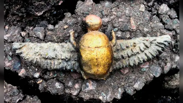 Arqueólogos descubren un escarabajo sagrado egipcio, pero enterrado a miles de kilómetros en España dentro de una tumba prerromana