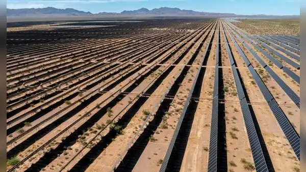 La planta de energía solar más grande de EE. UU. cierra tras causar la muerte de aves: costó más de US$1000 millones