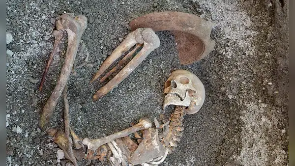 Lo encontraron 2.000 años después con un tazón para protegerse la cabeza y una lámpara para iluminar su camino: un hombre huyó de Pompeya cuando estalló el Vesubio