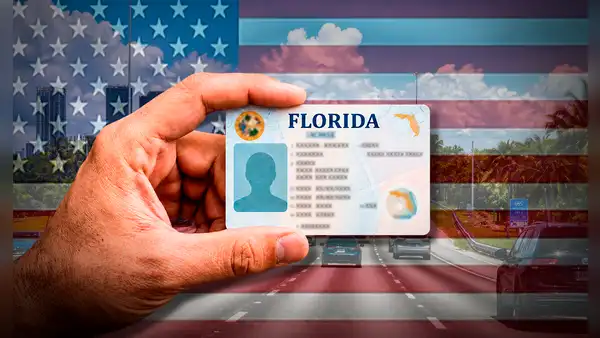Ley HB 991 en Florida exigirá que las licencias de conducir incluyan un nuevo dato migratorio a partir del 1 de enero de 2027