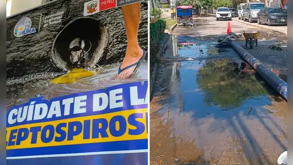 Piden emergencia sanitaria por leptospirosis y dengue tras brote de variante más agresiva en Piura