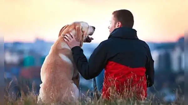Hasta 8 años de cárcel para maltratadores de animales: Congreso aprueba dictamen que endurece penas en el Código Penal