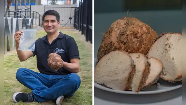 Peruano crea envase biodegradable con un tubérculo del Vraem: conserva alimentos hasta por 28 días y se degrada en 4 días