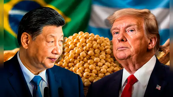 En la mira de China y EE.UU.: un país de Sudamérica podría producir 186 millones de toneladas de soja y liderar exportaciones mundiales