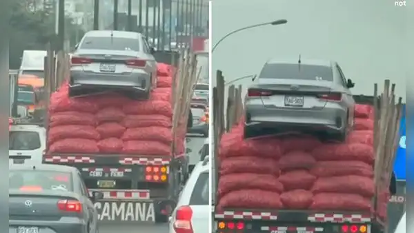 Insólito: captan camión trasladando automóvil encima de costales de cebolla en plena Panamericana Norte