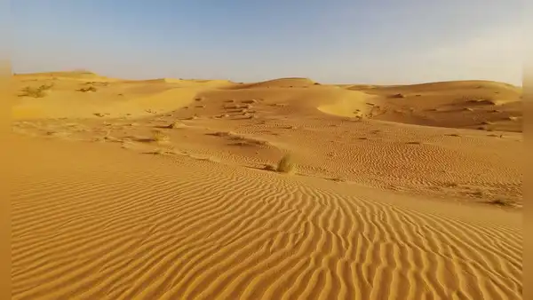 El proyecto ecológico más ambicioso del mundo: 11 países de África luchan juntos para detener el avance del desierto del Sáhara