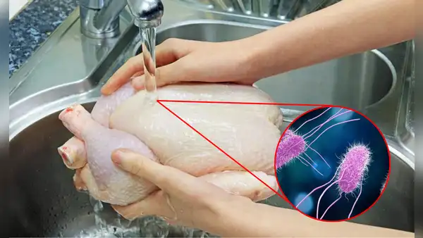 ¿Lavas el pollo antes de guardarlo o cocinarlo? Este hábito podría enfermar a tu familia sin que lo notes