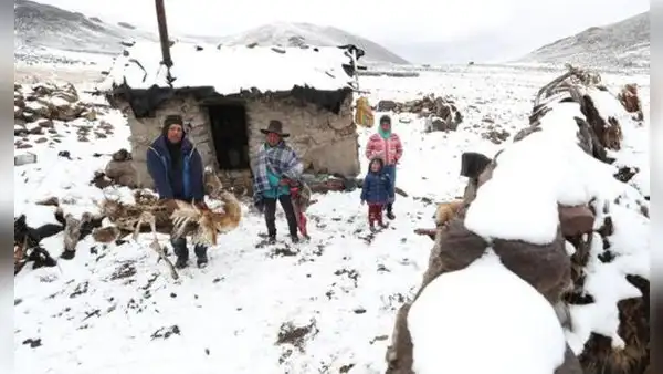 Hasta 5 centímetros de nieve: bajas temperatura dejan muertos, bloquean vías y afectan ganado en estas regiones