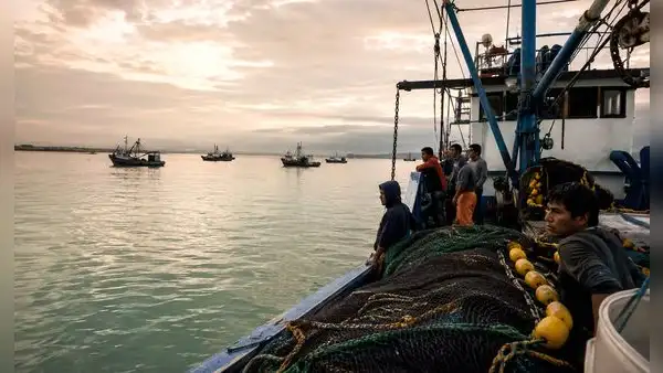 Produce paraliza pesca de anchoveta por El Niño Costero hasta el 10 de junio: ¿riesgo para el sector? Esto advierte Imarpe tras ampliación