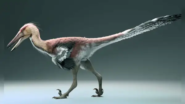 Paleontólogos argentinos descubren una nueva especie de dinosaurio pescador y emparentado con el velociraptor