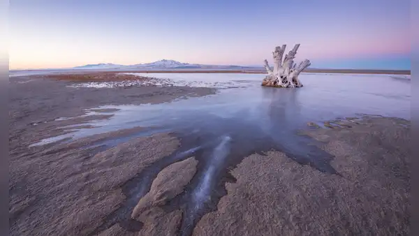 No existe en ningún otro lugar de la Tierra: científicos descubren una criatura misteriosa bajo un lago ultrasalado