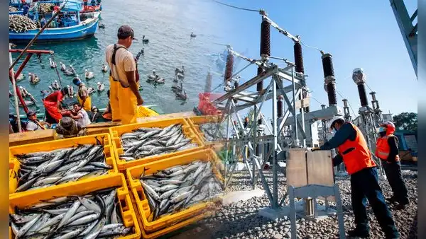 INEI: mientras pesca creció 1.68% y electricidad 4.59%, esta actividad registró una fuerte caída ¿de cuál se trata?