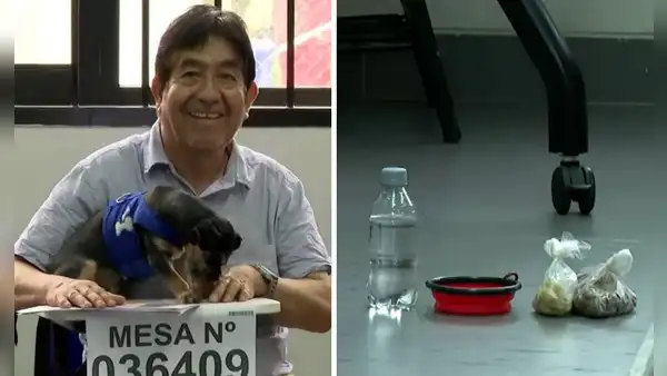 Ciudadano fue a votar con su perrita y lo eligen miembro de mesa ante falta de personal: "Ya lo intuía"