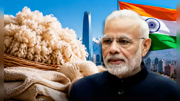 India compra por primera vez lana ovina de un país de América Latina y la posiciona en uno de los mayores mercados textiles del mundo