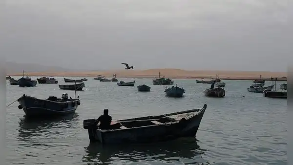 Fujimorismo y ‘lobby’ empresarial a favor de la pesca industrial
