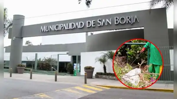 Condenan a exfuncionarios de la Municipalidad de San Borja por favorecer a empresa en licitación de limpieza