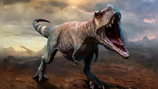 Investigadores recrean el olor de la boca del Tiranosaurio rex: "Una mezcla de aliento de perro con carne podrida"