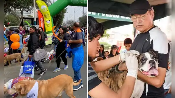 Este distrito de Lima organiza la Caminata Huellas 4K con atención veterinaria gratuita y campaña de esterilización para perros y gatos.