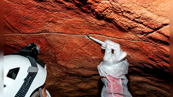 Hallan por primera vez ADN humano de 2.000 años en paredes con arte rupestre: una nueva ventana a la prehistoria