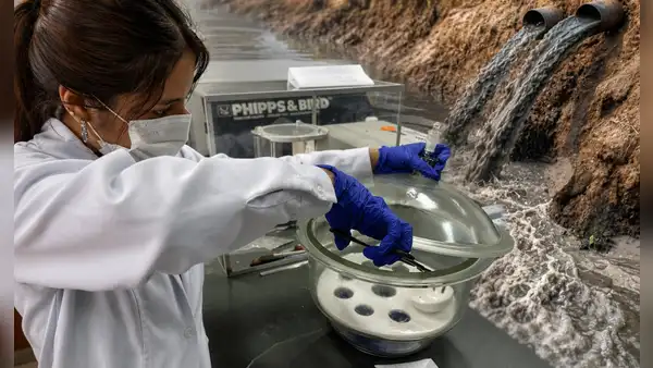 Estudiante peruana logra convertir restos de algodón y palta en ‘esponjas inteligentes’ para descontaminar aguas con plomo: eliminan hasta el 99% del metal pesado