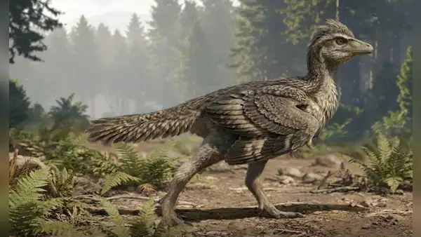 China descubre el ‘eslabón perdido’ de las aves: un fósil revela cómo perdieron sus colas de dinosaurio