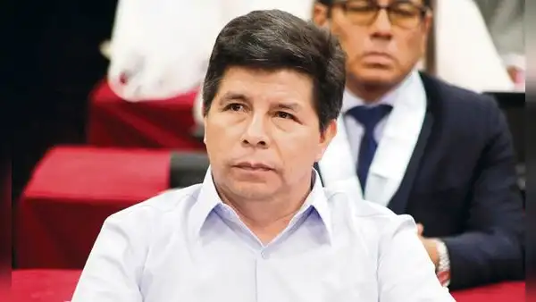 Grupo de Trabajo de la ONU concluye que la detención de Pedro Castillo fue arbitraria y recomienda su liberación