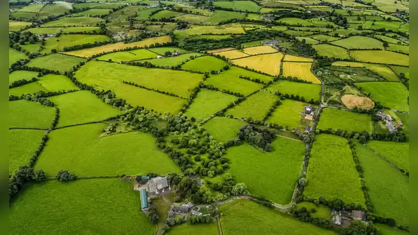 El hallazgo arqueológico de la Edad del Bronce que reescribe el origen urbano de Europa: surgió en Irlanda hace más de 3.000 años