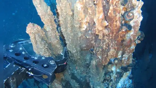 Japón descubre el lugar perfecto para una mina de oro: un cráter volcánico bajo el mar