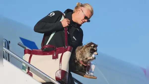 La insólita imagen de Erling Haaland tras el Mundial 2026: volvió a Noruega con un mapache disecado