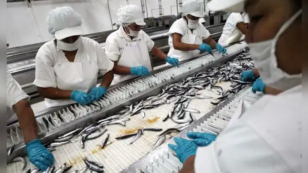 PBI peruano desacelera a 1,8% en mayo tras desplome de la pesca y caída de la manufactura