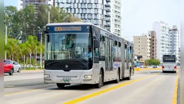 ¿Cómo llegar a la FIL Lima 2026? ATU detalla los buses, corredores y conexiones de transporte público