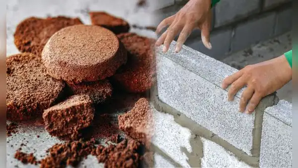 Los residuos de café son un tesoro: descubren un uso innovador que cambiaría la industria de la construcción