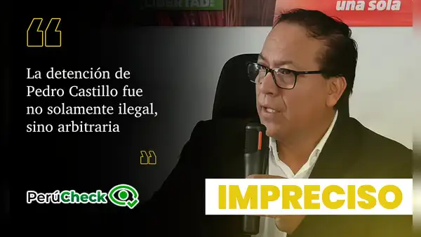 ¿La ONU declaró "arbitraria e ilegal" la detención de Pedro Castillo y exigió su liberación inmediata?