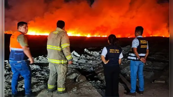 Emergencia en Áncash: incendio forestal consume más de 10 hectáreas de humedales en Nuevo Chimbote