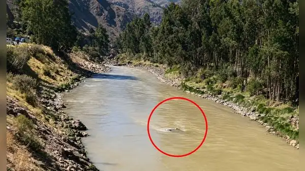 Junín: tres personas mueren tras despiste de auto que cayó al río Mantaro en la Carretera Central