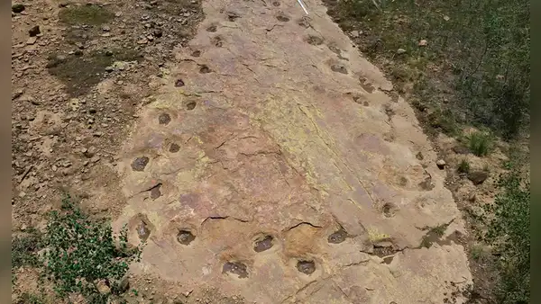 Unas huellas de dinosaurios de 150 millones de años revelan algo extraño en su forma de caminar