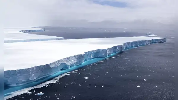 Un descubrimiento inesperado en las profundidades de la Antártida: aparecen patrones geométricos en el lecho marino