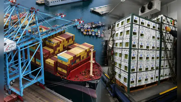 La fruta que se produce en Perú y se convirtió en la favorita de Estados Unidos: ventas crecieron casi 100% y generó más de U$21 millones en menos de 6 meses