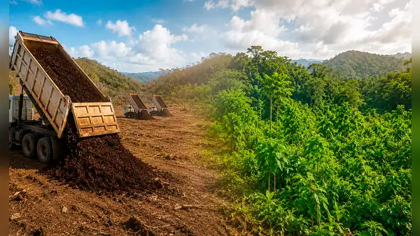 Científicos vertieron 30 camiones de pulpa de café en un terreno seco de Costa Rica: 2 años después, el paisaje era irreconocible