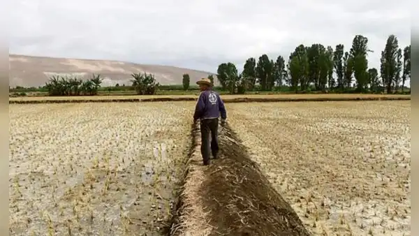El Niño 2026-2027: sequía en la sierra podría alcanzar niveles similares a los de 1982-83