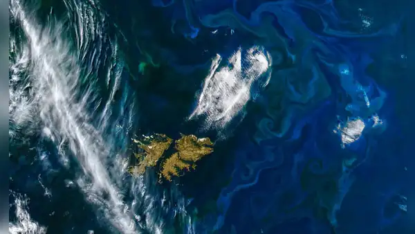 La NASA afirma que El Niño está alterando la vida marina: detectan disminución del fitoplancton en el Pacífico