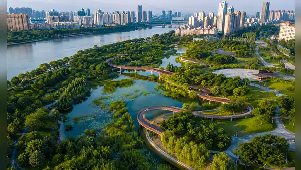Así funciona la ‘ciudad esponja’, una innovadora solución contra inundaciones que ya usan China, EE.UU. y otros países del mundo