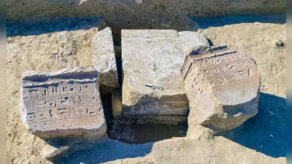 Un rastro de pisadas de hace 66,5 millones de años revela las primeras huellas de un T. rex adulto caminando