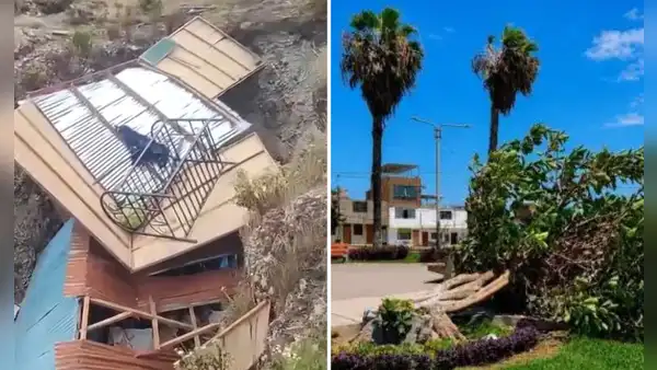 Vientos de más de 40 km/h causaron caída de árboles, postes y techos en el norte del Perú