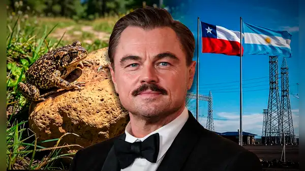 El polémico proyecto eléctrico entre Chile y Argentina que generó rechazo, fue cuestionado por Leonardo DiCaprio y terminó paralizado por daños ambientales