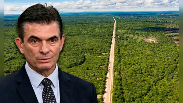 El nuevo corredor Bolivia-Brasil para exportar soja que preocupa a científicos por el futuro del bosque seco tropical más grande de Sudamérica