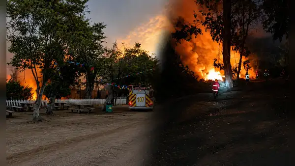 Tragedia ambiental en Chimbote: fuego consume 5 hectáreas de cobertura natural y obliga a cerrar el Vivero Forestal