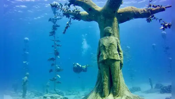Chipre quería un bosque submarino y sumergió 93 esculturas: ahora árboles de hormigón emergen desde el lecho marino