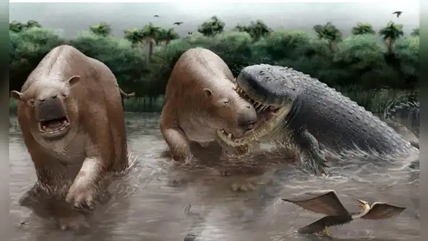 Unos cocodrilos gigantes dominaban la cadena alimenticia en Sudamérica hace 10 millones de años